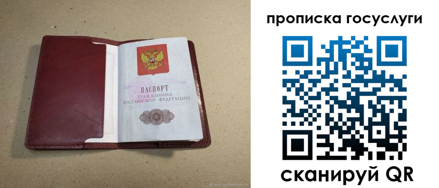 прописка поиск в Приморском крае